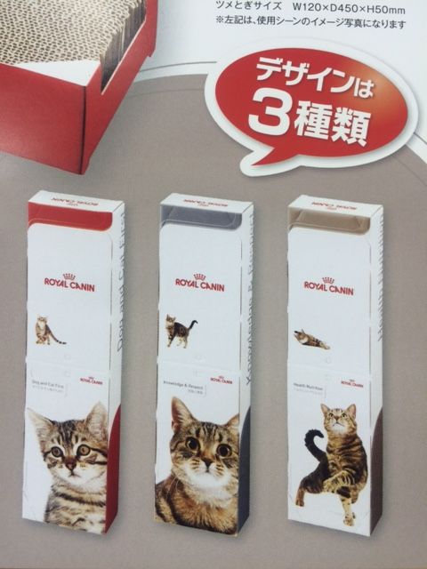 つめとぎ