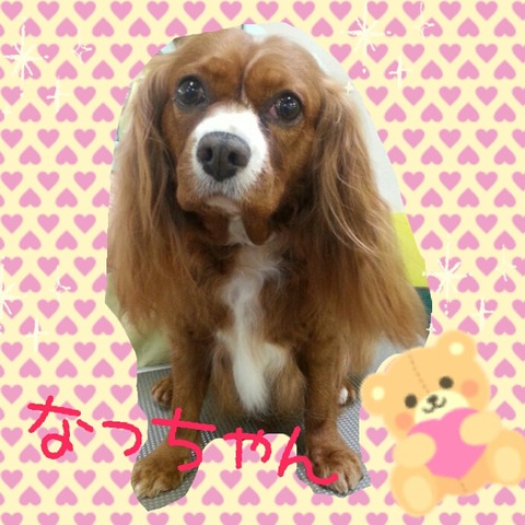 劉なっちゃん