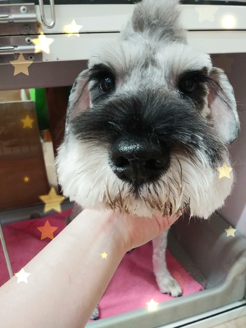 谷口ラッキー