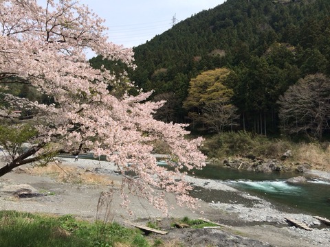 ウイスキー片手にトラウトフィッシング In奥多摩