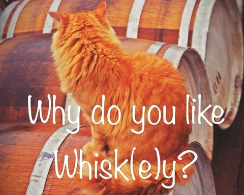 12/15〜 ウイスキー好きによる作品展開催 CF結果追跡その1