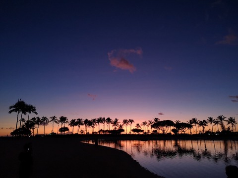 2019年を振り返る ~印象に残ったボトルや出来事など~