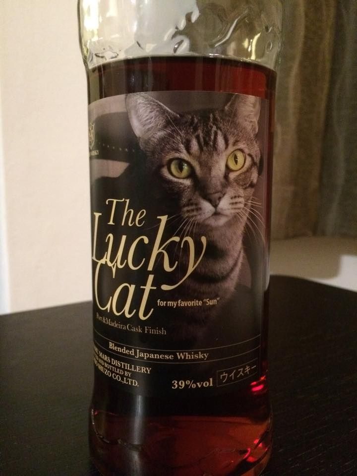 ザ ラッキーキャット ザ ラッキーキャット