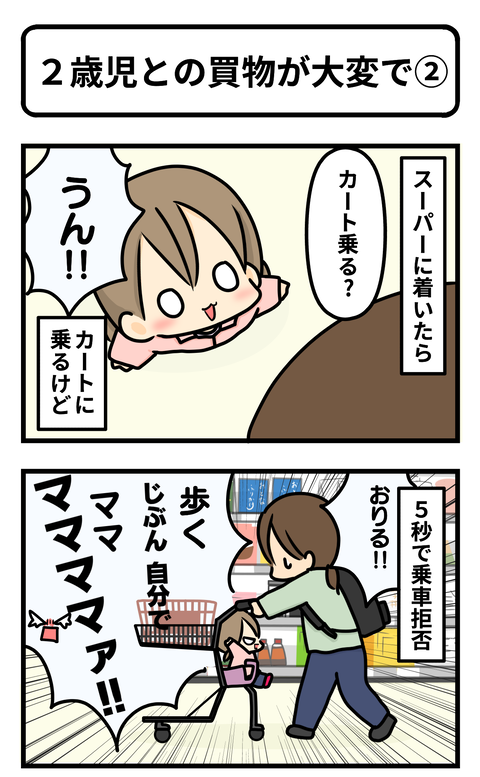 50504356