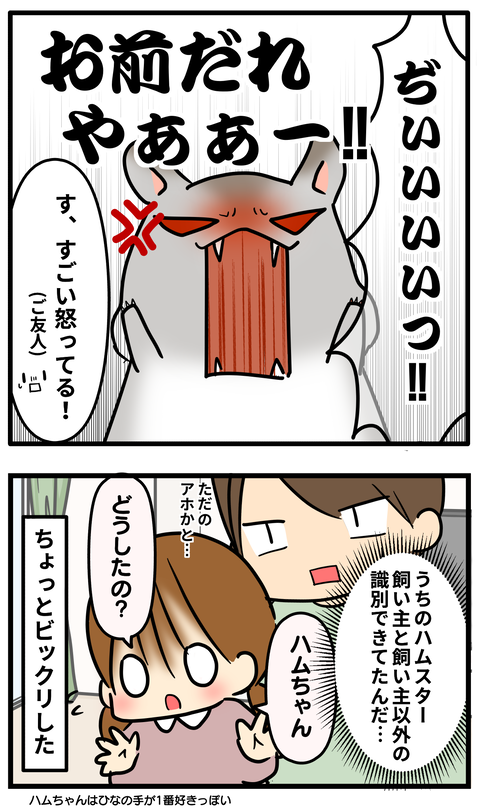 ハム3