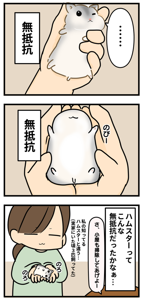 ハム2