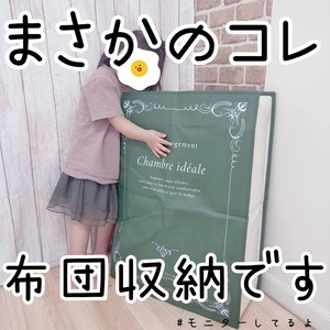 31445