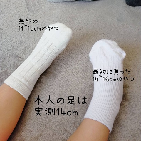 29204
