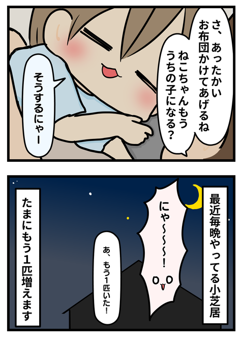 ねこ2