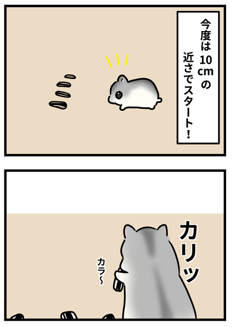 ハム2