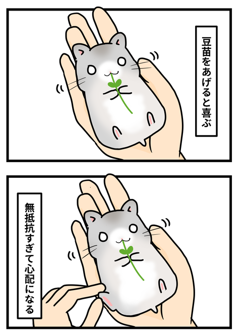 ハム2