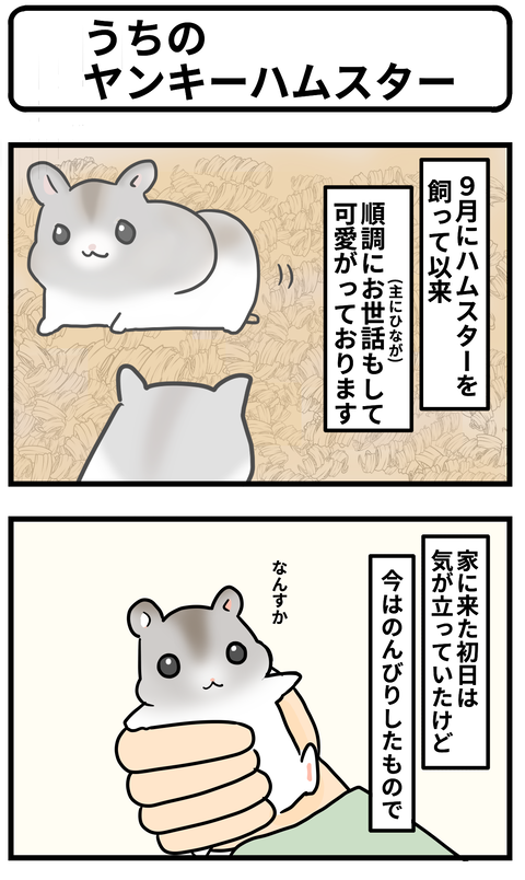 ハム1