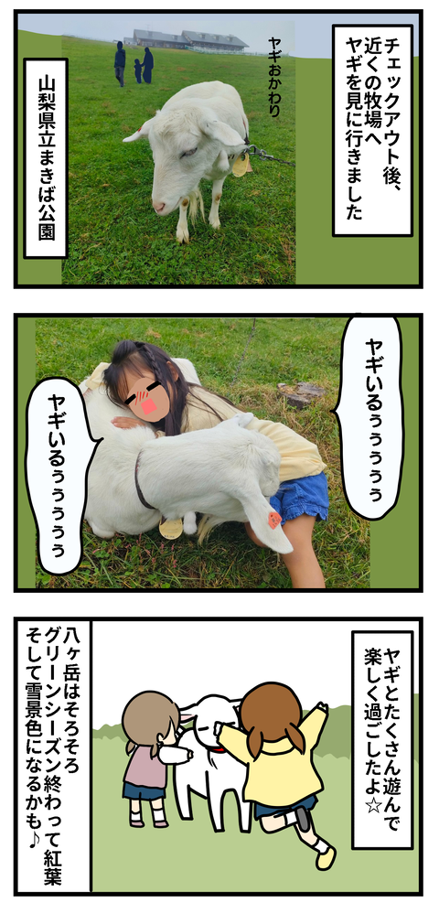 八木2