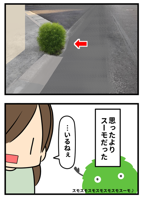 すも2