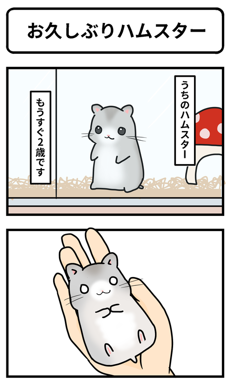 ハム1