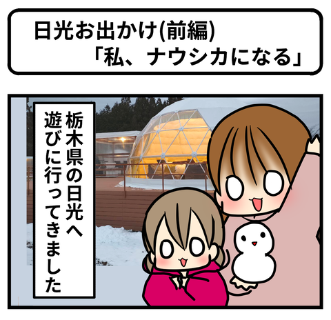 日光とり1