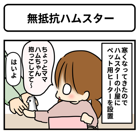 ハム1