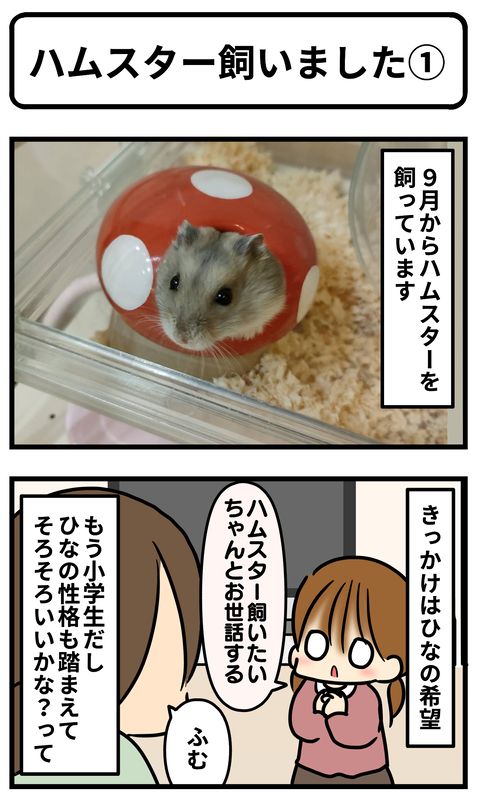 ハム1