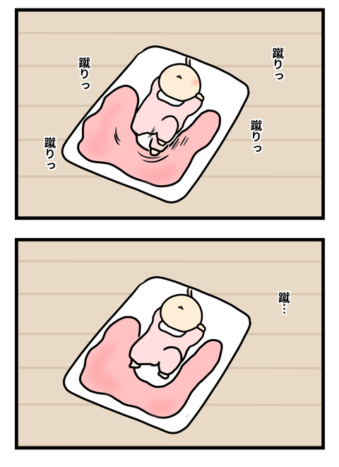 毛2