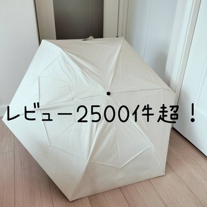 12481