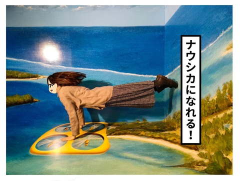日光とり6