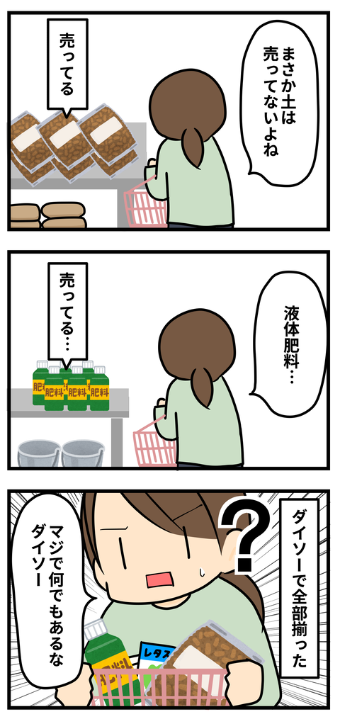 ダイソー3