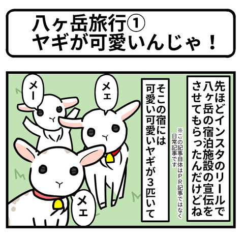 八ヶ岳1