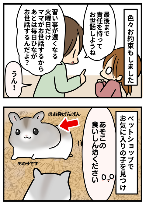 ハム2