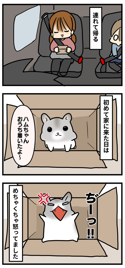 ハム3
