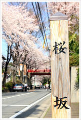 sakurazaka