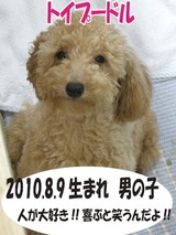 2011y12m13d_151608852