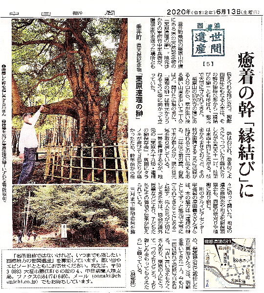 連理の榊 中日新聞で報道されました 栗原地区まちづくり協議会ブログ 連理の榊 中日新聞で報道されました 栗原地区まちづくり協議会ブログ