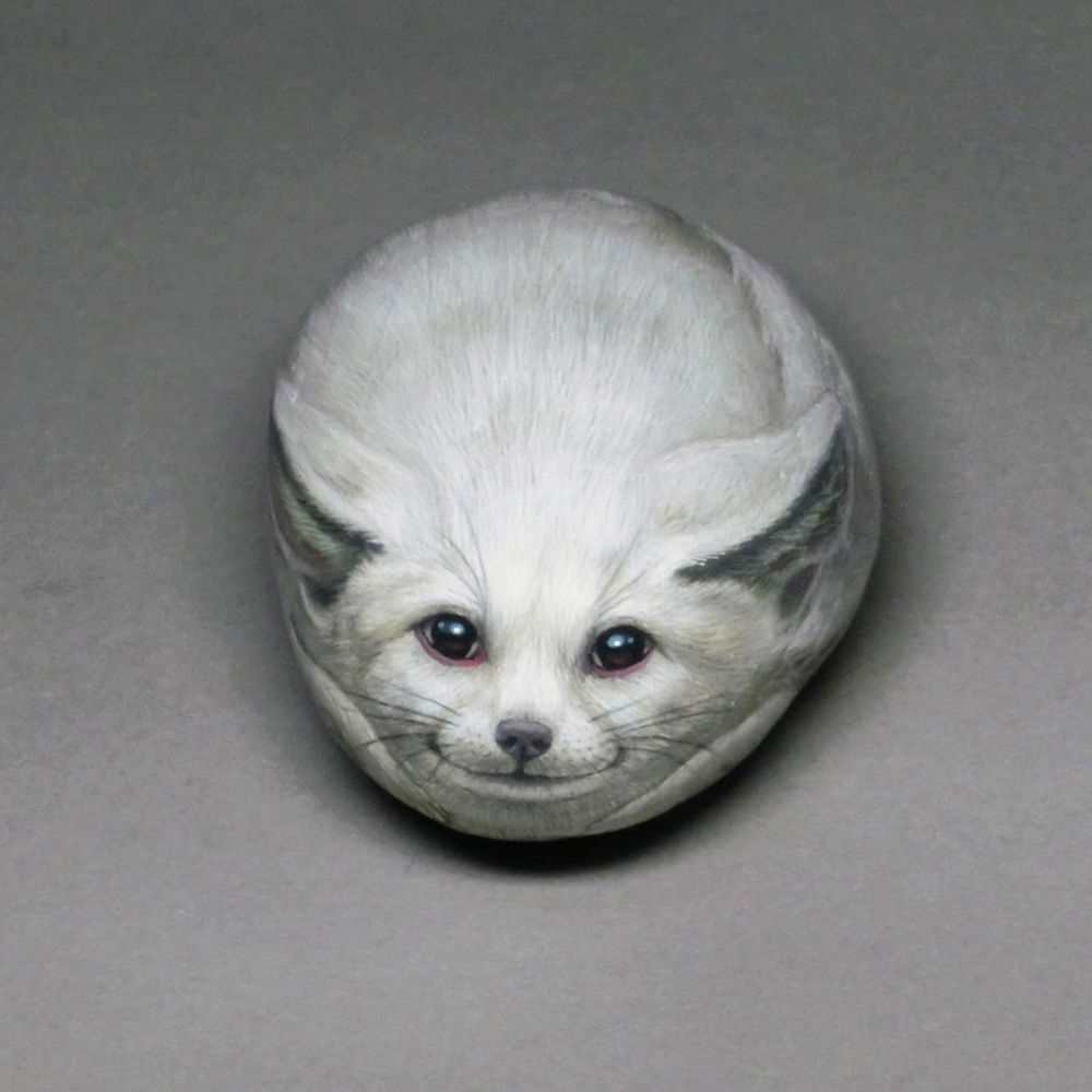 白い動物 黒い動物 座布団ネコな日々 Kkm 白い動物 黒い動物 座布団ネコな日々 Kkm