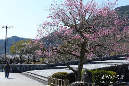 �ȹ���� 07