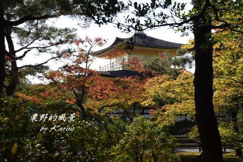 金閣寺02