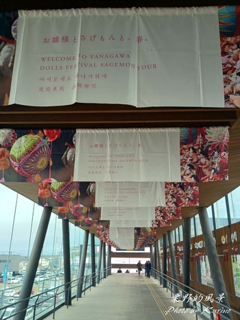 柳川さげもん巡り01