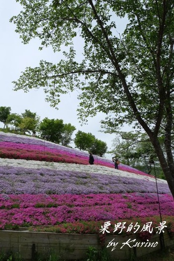 ��ޥ�����05