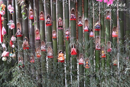 南国ひな祭り01