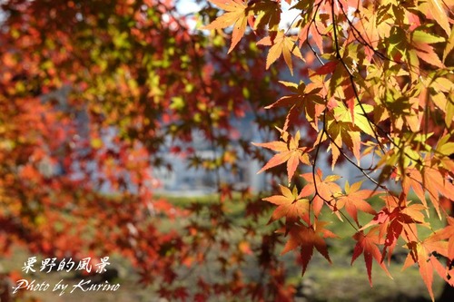 鶴山公園07