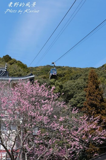 �ȹ���� 06