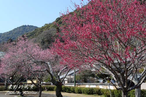 �ȹ���� 05