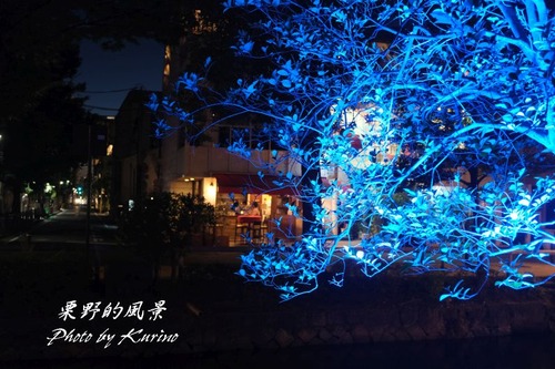 西川緑地05