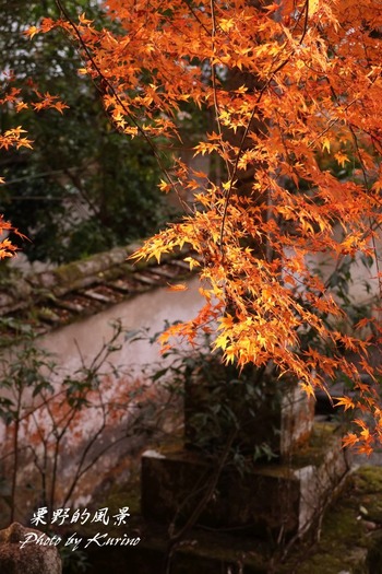 慈山寺03
