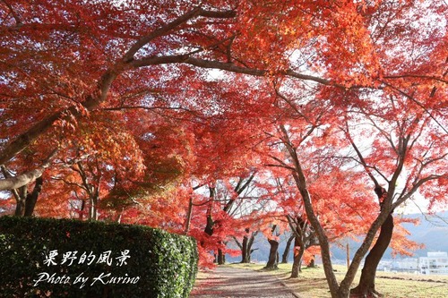 鶴山公園04