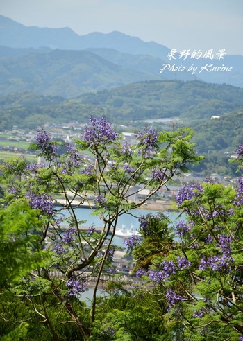 ���㥫����04