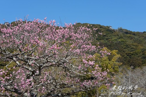 �ȹ���� 03