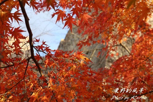 鶴山公園05