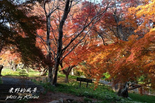 半田山の紅葉05