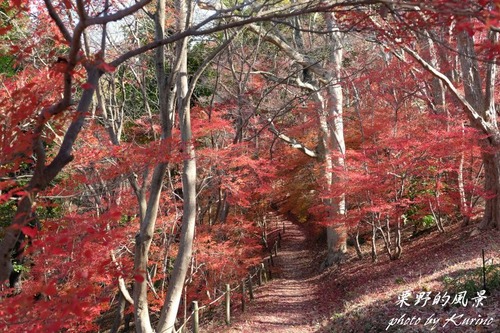 半田山の紅葉01