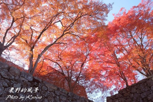 鶴山公園03